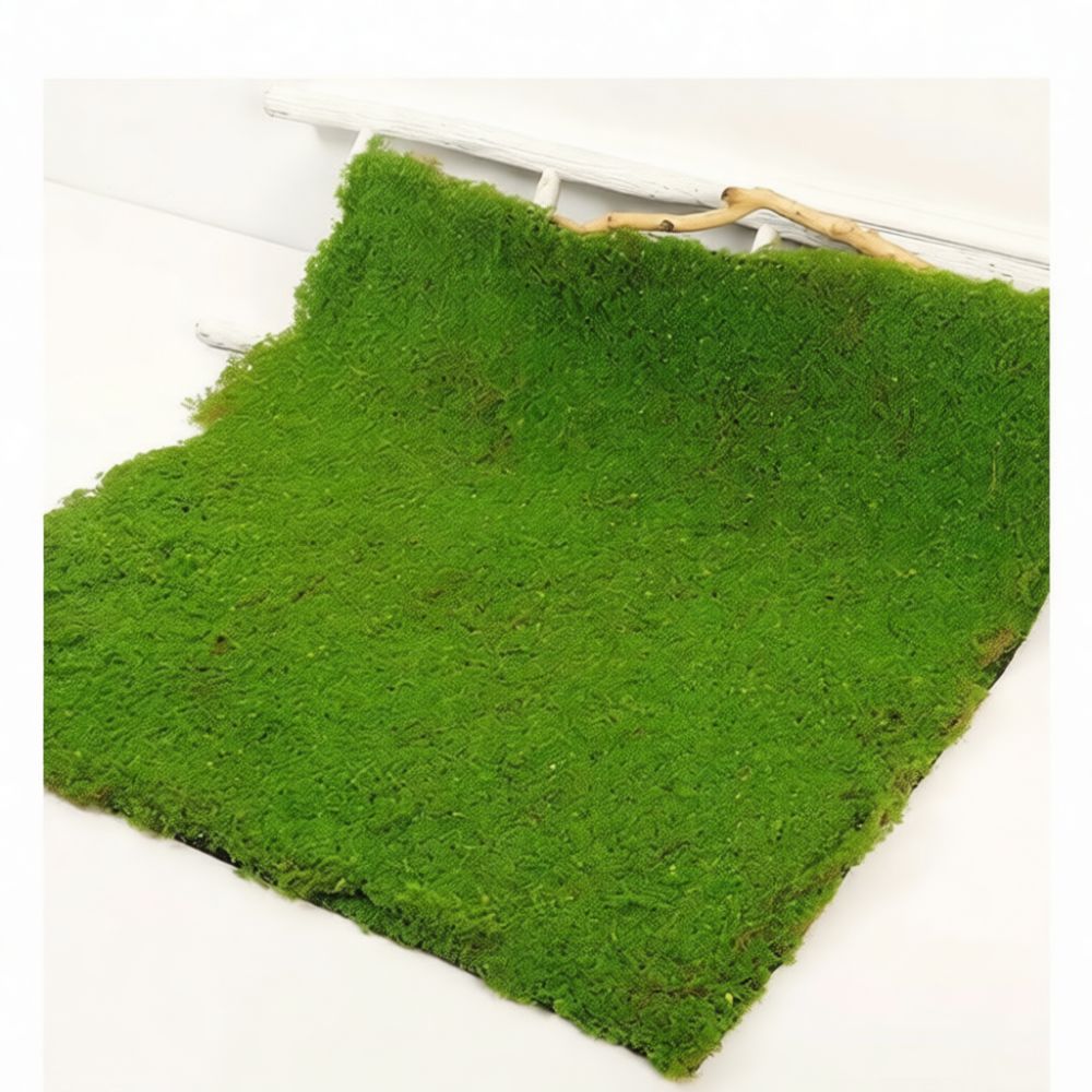 Faux Moss Turf Mat Artificial  - Preserved Moss Sheet review and price
