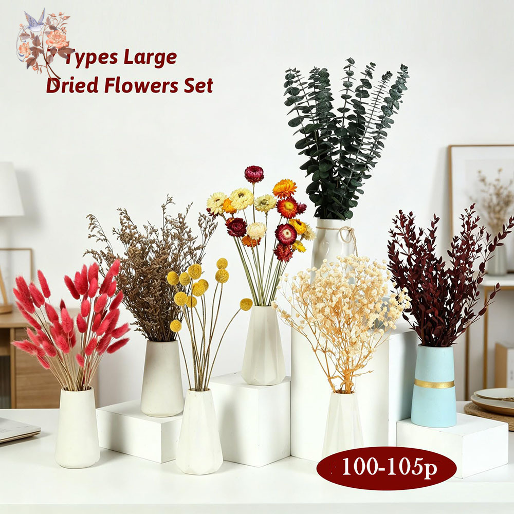 Dried Flowers Bulk Set 7 Kinds - Florist Supply Bulk review and price