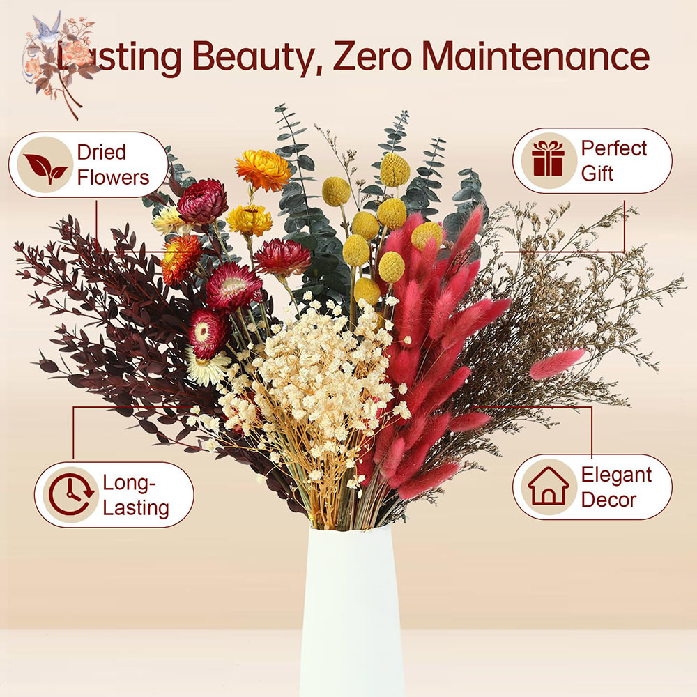 Dried Flowers Bulk Set 7 Kinds - Florist Supply Bulk review and price