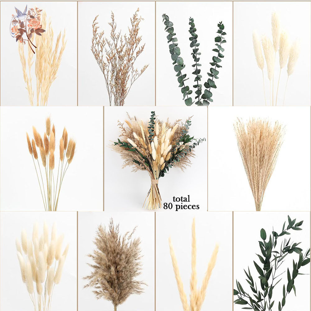 80Pcs Natural Dried Flowers Bo - Eucalyptus Preserved review and price