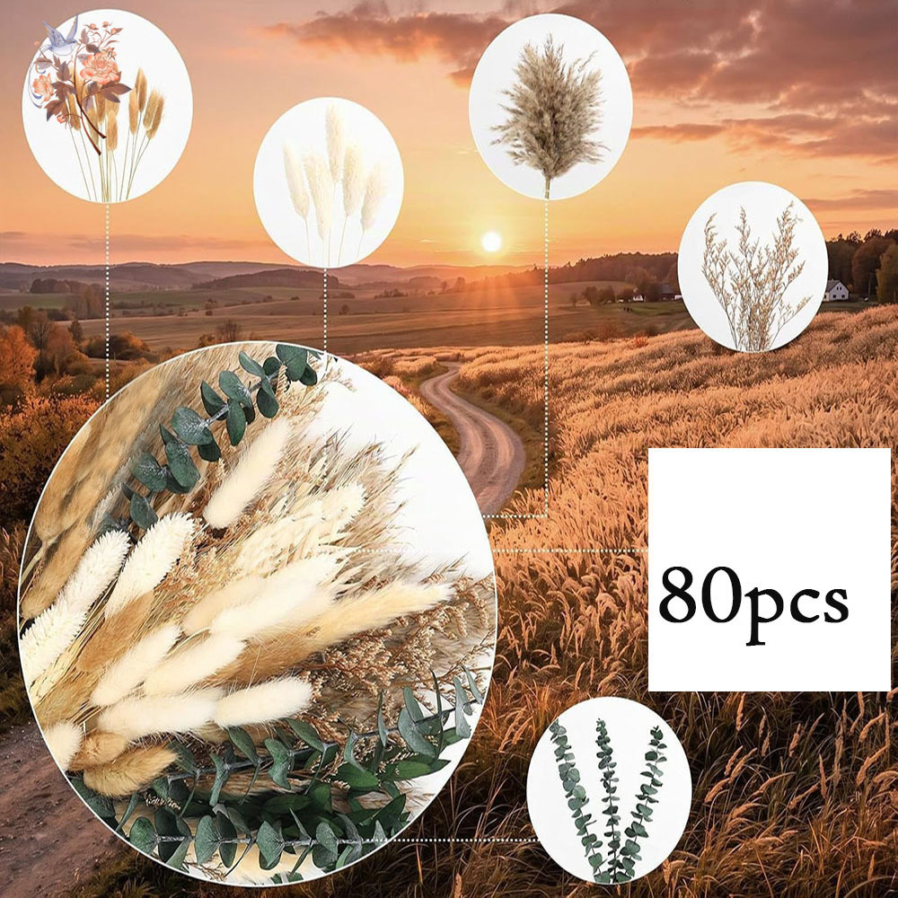 80Pcs Natural Dried Flowers Bo - Eucalyptus Preserved review and price
